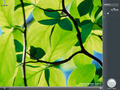 Sidebar in Windows Longhorn build 4074 (default)