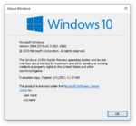 Windows 10-10.0.21262.1000-Winver.png