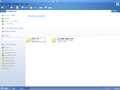 "Music by Artist" folder that relies on WinFS in Windows Longhorn build 3706