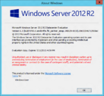 WindowsServer2016-6.3.9785pretp-About.png