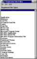 Registration Info Editor in Windows 95 build 73f