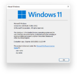 Windows 11-10.0.21380.1001-About Windows.png