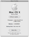 MacOSX-Leopard-9A466-About.png