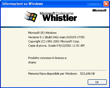 File:WindowsXP2462ItalianVersionWinver.png
