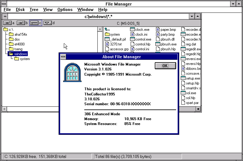 File:Win3.10.026 37 file manager.png