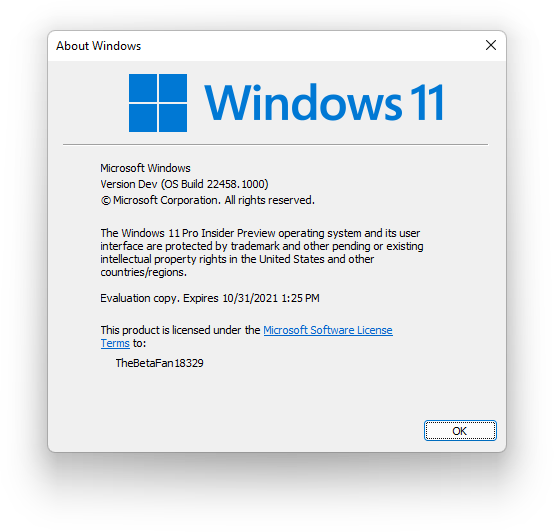 File:Windows 11 Build 22458.1000 winver.png