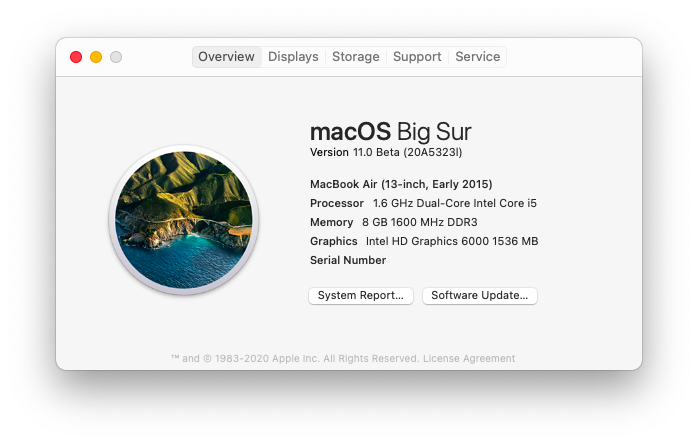 File:MacOS 11 20A5323l About.png
