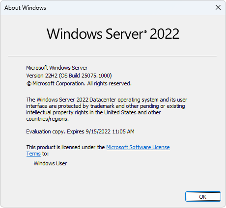 File:WindowsServerCopper-10.0.25075.1000-Winver.png