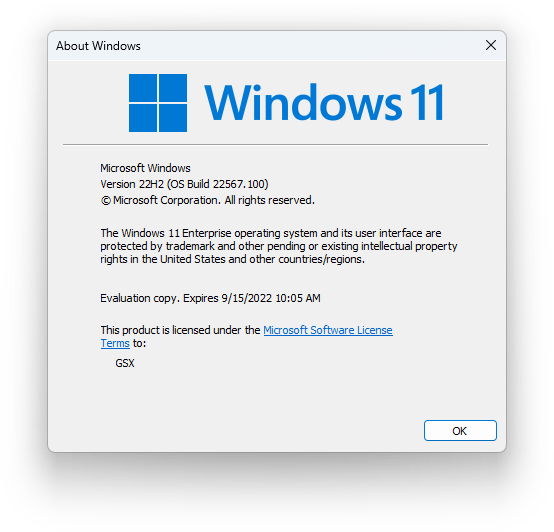 File:Windows11-10.0.22567.100-Winver.png