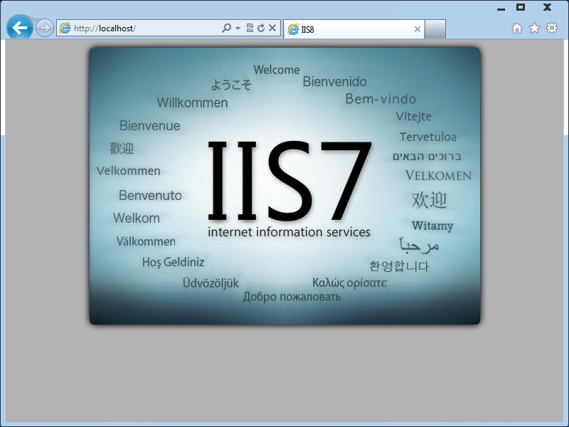File:WindowsServer2012-6.2.8019.0-InternetExplorer10.png