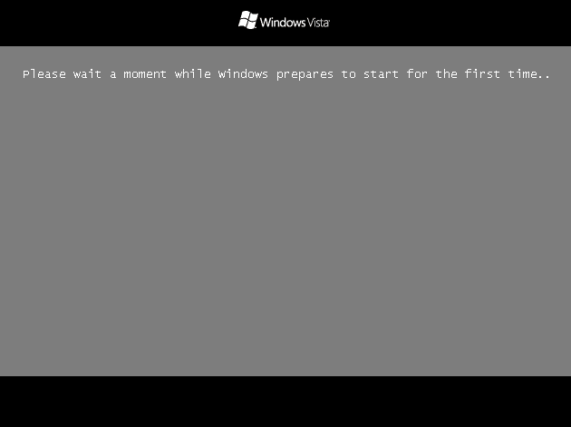File:Vista 5492 - Windows is preparing to start for the first time.png