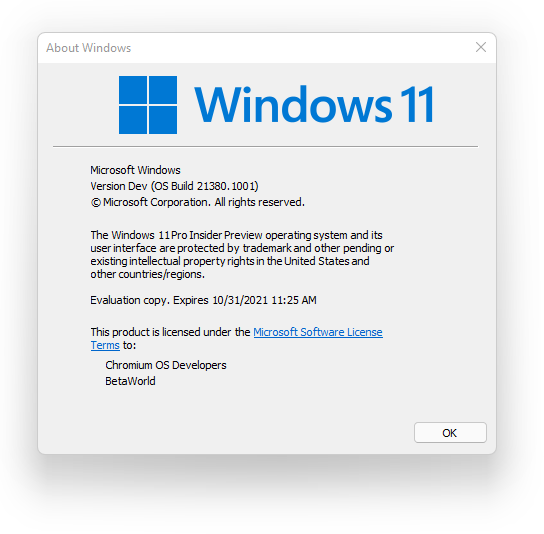 File:Windows 11-10.0.21380.1001-About Windows.png - BetaWiki