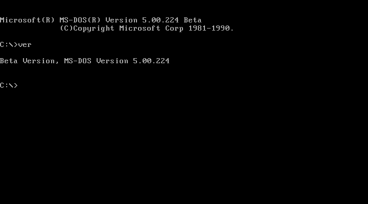 File:MS-DOS-5-224-CommandVersion.png