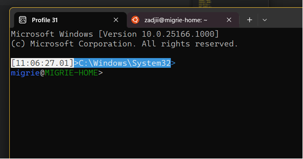 File:Windows11-10.0.25166.1000-Terminal.png