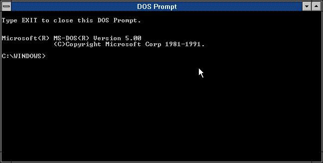 File:Win3.10.026 27 dos prompt window.png