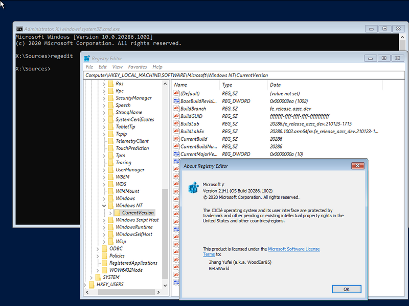 File:Windows Server 2022 10.0.20286.1002 Version.png