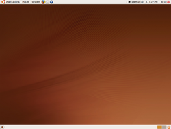 Ubuntu-9.04-Desktop.png