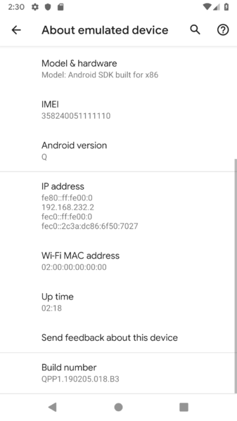 File:Android Q QPP1.190205.018.B3 Build.png