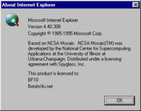 Internet Explorer 1 - BetaWiki