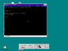 OS2-WARP-J Beta2-8.162-r207-16a-94-11-28-OS2 Command Prompt Window-ver-r.png