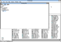 File Manager in Windows 3.0 with Multimedia Extensions 1.0
