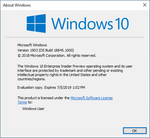 Windows10-10.0.18845.1000-Winver.png