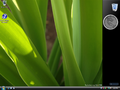 Sidebar in Windows Vista build 5308.6