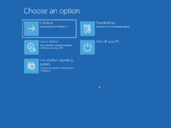 Windows11-10.0.25115.1000-RecEnvMain.png