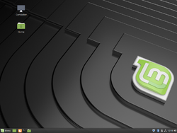 LM19-Desktop.png
