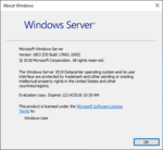 WindowsServer2019-10.0.17682-winver.png