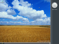 Slate theme on Windows Longhorn build 4051 with Sidebar