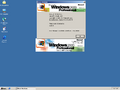 Desktop with winver and winnt256.bmp bitmap