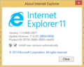 About Internet Explorer 11 on Windows 8.1