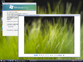 Windows Picture and Fax Viewer on Windows Vista build 5219