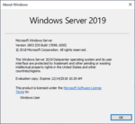 WindowsServer2019-10.0.17698-winver.png