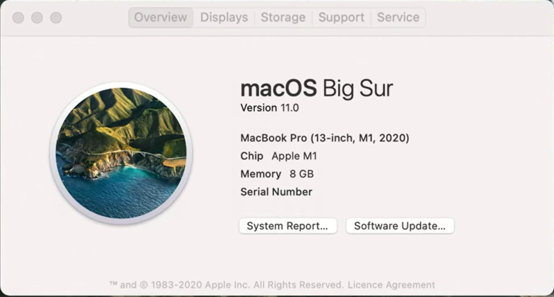 File:MacOS 11.0 build 20A2411 arm64.png