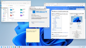 Windows11-22000.132-Demo.png