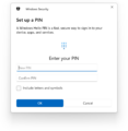 The "Set up a PIN" dialog