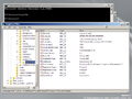 Command Prompt and Registry Editor