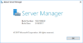 About Server Manager