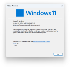 windows 11 build 22631