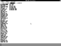MS-DOS Executive in the Beta Release