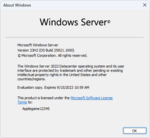 WindowsServer25921-winver.png