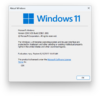 Windows11-10.0.22567.100-Winver.png
