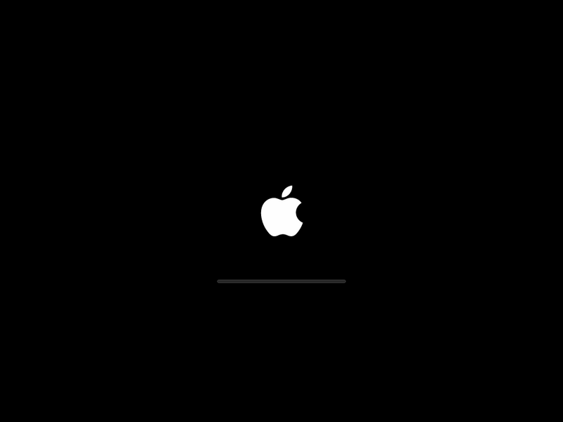 File:MacOS 11 boot screen.png