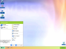 Sample Test Visual Style in Windows XP build 2419
