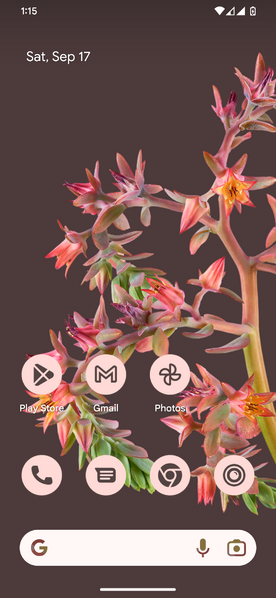 File:Android13Homescreen.png
