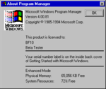 Windows95-4.0.81-About.png
