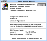 Windows-3.1.018-Arabic-About.png