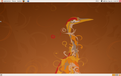 Ubuntu-8.04-Desktop.png